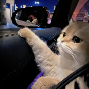 猛弄HD老太婆老熟女
