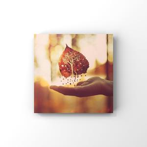 猛弄HD老太婆老熟女
