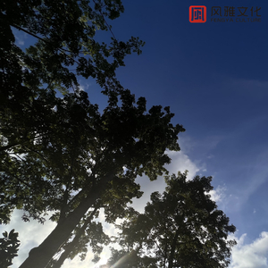 猛弄HD老太婆老熟女
